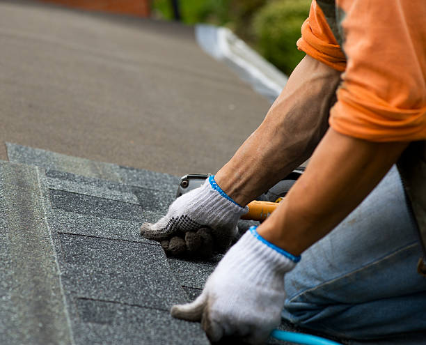 Roof Gutter Cleaning in Belle Rose, LA